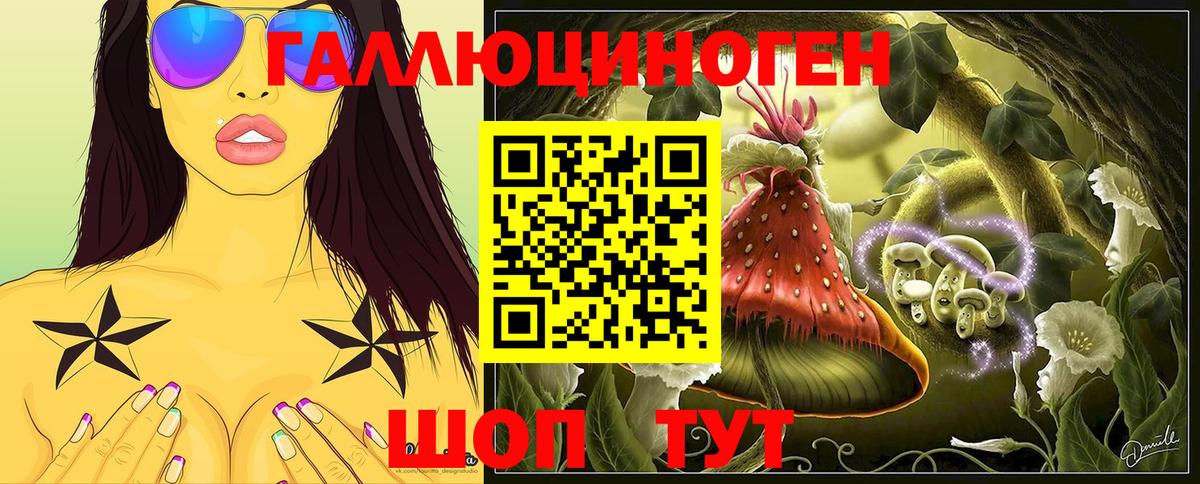 Псилоцибиновые грибы Psilocybine cubensis Карталы