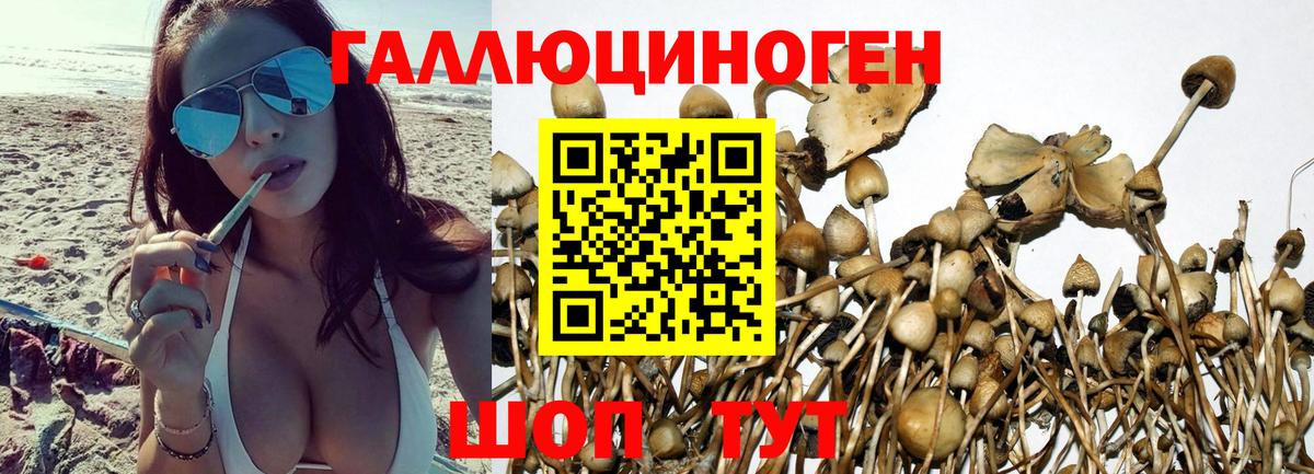 Карталы  Галлюциногенные грибы Cubensis  Вход с VPN  цена наркотик  Псилоцибиновые грибы MAGIC MUSHROOMS 